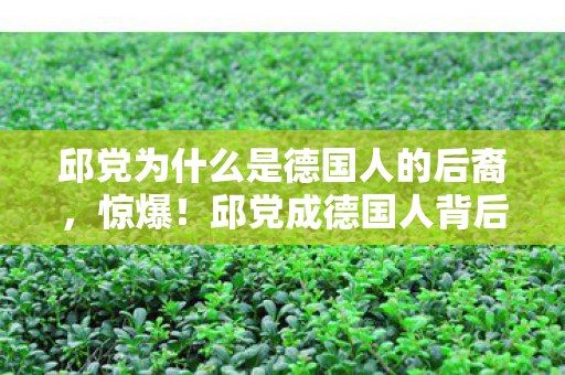 邱党为什么是德国人的后裔,惊爆!邱党成德国人背后竟藏30万血泪账,我亲手拆了家! 邱党为什么是德国人的后裔,惊爆!邱党成德国人背后竟藏30万血泪账,我亲手拆了家!