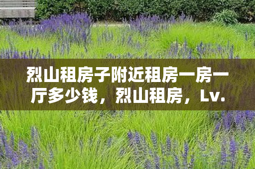 烈山租房子附近租房一房一厅多少钱,烈山租房,Lv.99的王者,Lv.1的生存悖论——当虚拟荣耀撞碎现实骨感 烈山租房子附近租房一房一厅多少钱,烈山租房,Lv.99的王者,Lv.1的生存悖论——当虚拟荣耀撞碎现实骨感