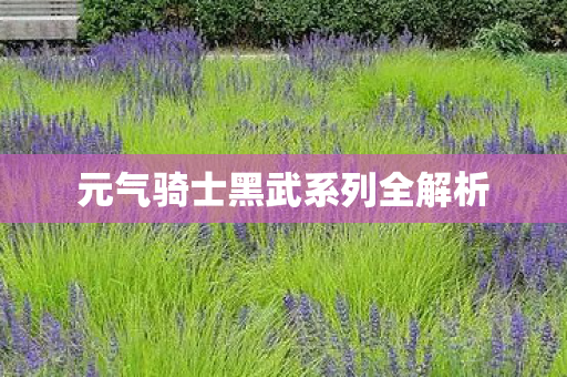 元气骑士黑武系列全解析图片