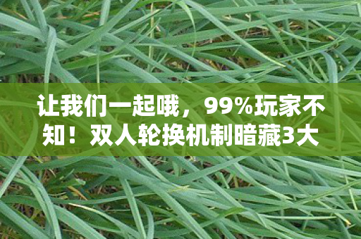 让我们一起哦,99%玩家不知!双人轮换机制暗藏3大数值陷阱,策划绝密爆料 让我们一起哦,99%玩家不知!双人轮换机制暗藏3大数值陷阱,策划绝密爆料