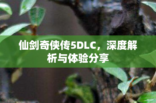 仙剑奇侠传5DLC图片