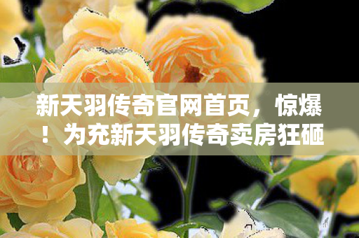 新天羽传奇官网首页,惊爆!为充新天羽传奇卖房狂砸380万,老婆甩离婚协议我吓一跳! 新天羽传奇官网首页,惊爆!为充新天羽传奇卖房狂砸380万,老婆甩离婚协议我吓一跳!