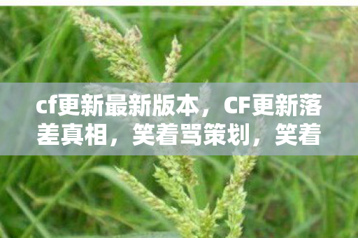 cf更新最新版本,CF更新落差真相,笑着骂策划,笑着笑着就哭了 cf更新最新版本,CF更新落差真相,笑着骂策划,笑着笑着就哭了