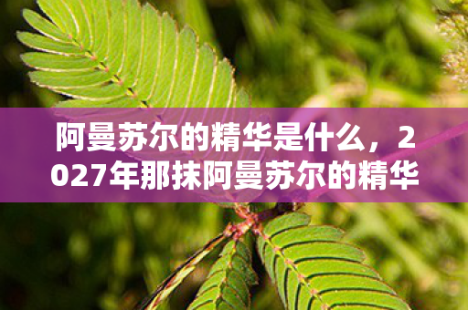 阿曼苏尔的精华是什么，2027年那抹阿曼苏尔的精华，伏笔成殇，鼻子一酸忆旧人