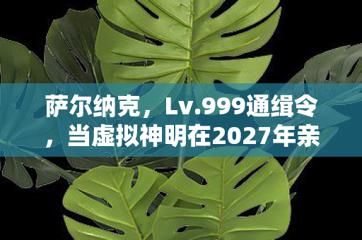 萨尔纳克,Lv.999通缉令,当虚拟神明在2027年亲手撕碎现实锚点 萨尔纳克,Lv.999通缉令,当虚拟神明在2027年亲手撕碎现实锚点