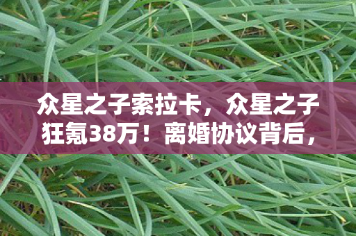 众星之子索拉卡，众星之子狂氪38万！离婚协议背后，我的疯狂账本吓你一跳！