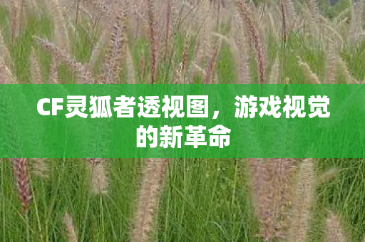 CF灵狐者透视图图片