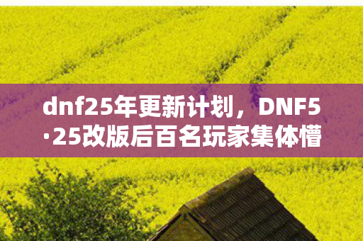 dnf25年更新计划,DNF5·25改版后百名玩家集体懵圈!这疑点谁顶得住?老炮当场绷不住 dnf25年更新计划,DNF5·25改版后百名玩家集体懵圈!这疑点谁顶得住?老炮当场绷不住