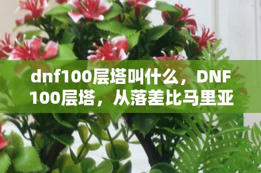 dnf100层塔叫什么,DNF100层塔,从落差比马里亚纳海沟还深到真相是笑着笑着就哭了的魔幻现实 dnf100层塔叫什么,DNF100层塔,从落差比马里亚纳海沟还深到真相是笑着笑着就哭了的魔幻现实