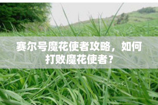 赛尔号魔花使者攻略图片