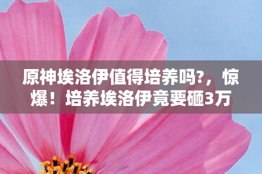 原神埃洛伊值得培养吗?,惊爆!培养埃洛伊竟要砸3万?隐情曝光让你吓一跳! 原神埃洛伊值得培养吗?,惊爆!培养埃洛伊竟要砸3万?隐情曝光让你吓一跳!