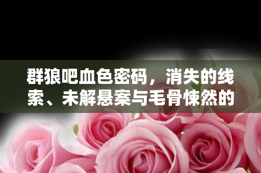 群狼吧血色密码,消失的线索、未解悬案与毛骨悚然的十年囚笼 群狼吧血色密码,消失的线索、未解悬案与毛骨悚然的十年囚笼