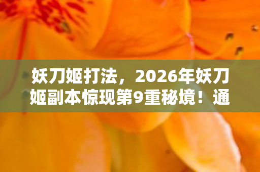 妖刀姬打法,2026年妖刀姬副本惊现第9重秘境!通关者竟集体失踪? 妖刀姬打法,2026年妖刀姬副本惊现第9重秘境!通关者竟集体失踪?
