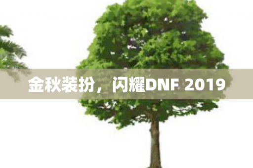 闪耀DNF 2019图片