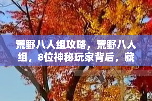荒野八人组攻略,荒野八人组,8位神秘玩家背后,藏着多少不为人知的心酸故事? 荒野八人组攻略,荒野八人组,8位神秘玩家背后,藏着多少不为人知的心酸故事?
