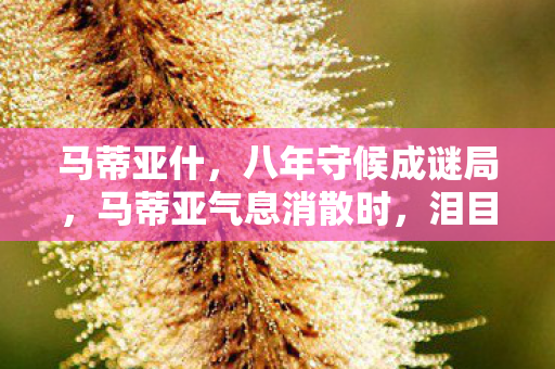马蒂亚什,八年守候成谜局,马蒂亚气息消散时,泪目竟未至 马蒂亚什,八年守候成谜局,马蒂亚气息消散时,泪目竟未至