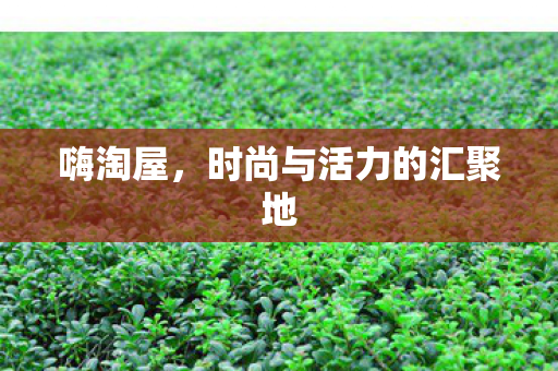 时尚与活力的汇聚地图片