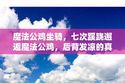 魔法公鸡坐骑,七次蹊跷邂逅魔法公鸡,后背发凉的真相竟是…… 魔法公鸡坐骑,七次蹊跷邂逅魔法公鸡,后背发凉的真相竟是……
