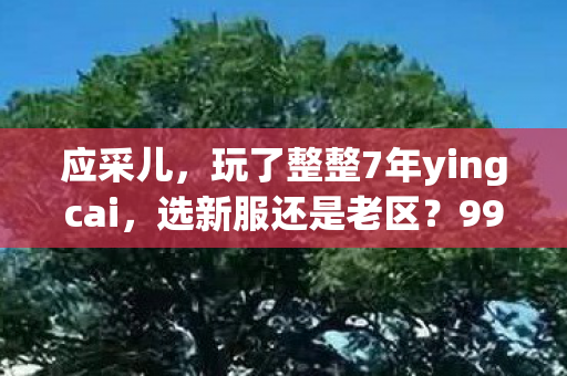 应采儿,玩了整整7年yingcai,选新服还是老区?99%玩家都在这纠结! 应采儿,玩了整整7年yingcai,选新服还是老区?99%玩家都在这纠结!