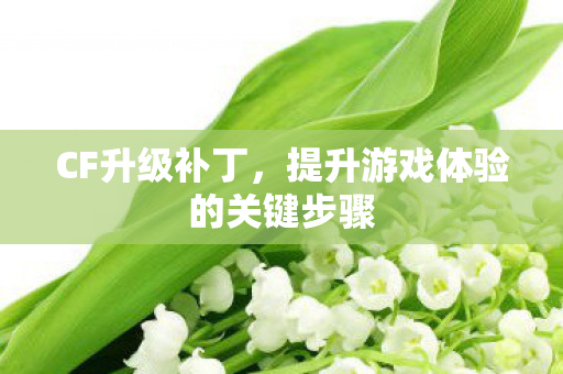 提升游戏体验的关键步骤图片