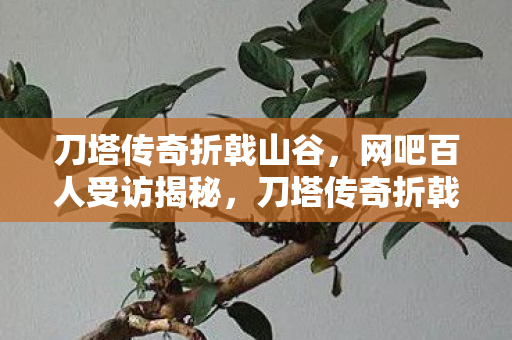 刀塔传奇折戟山谷,网吧百人受访揭秘,刀塔传奇折戟山谷9疑点重重,我绷不住了! 刀塔传奇折戟山谷,网吧百人受访揭秘,刀塔传奇折戟山谷9疑点重重,我绷不住了!