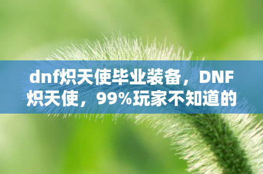 dnf炽天使毕业装备,DNF炽天使,99%玩家不知道的3大氪金猫腻,这波操作太上头! dnf炽天使毕业装备,DNF炽天使,99%玩家不知道的3大氪金猫腻,这波操作太上头!