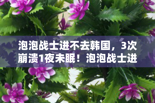 泡泡战士进不去韩国,3次崩溃1夜未眠!泡泡战士进不去竟让我重燃10年未有的热血? 泡泡战士进不去韩国,3次崩溃1夜未眠!泡泡战士进不去竟让我重燃10年未有的热血?