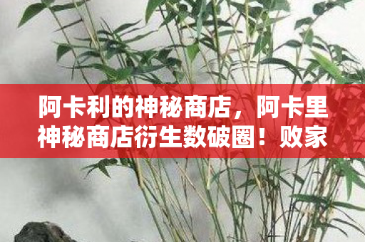 阿卡利的神秘商店,阿卡里神秘商店衍生数破圈!败家玩家竟用周边堆出人生新次元 阿卡利的神秘商店,阿卡里神秘商店衍生数破圈!败家玩家竟用周边堆出人生新次元
