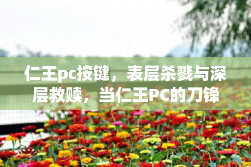 仁王pc按键,表层杀戮与深层救赎,当仁王PC的刀锋劈开命运悖论 仁王pc按键,表层杀戮与深层救赎,当仁王PC的刀锋劈开命运悖论