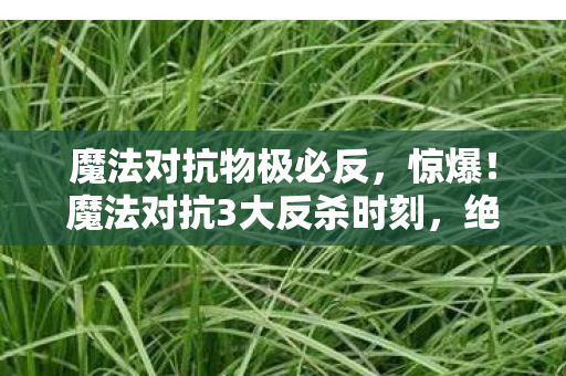 魔法对抗物极必反,惊爆!魔法对抗3大反杀时刻,绝望到狂喜的极致体验 魔法对抗物极必反,惊爆!魔法对抗3大反杀时刻,绝望到狂喜的极致体验