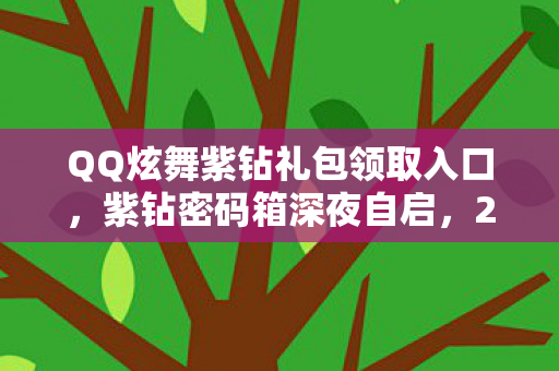 QQ炫舞紫钻礼包领取入口，紫钻密码箱深夜自启，2027年QQ炫舞服务器惊现玩家献祭悬案