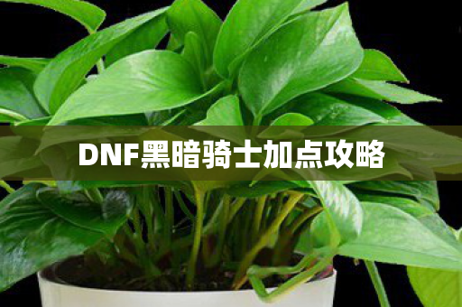 DNF黑暗骑士加点攻略图片