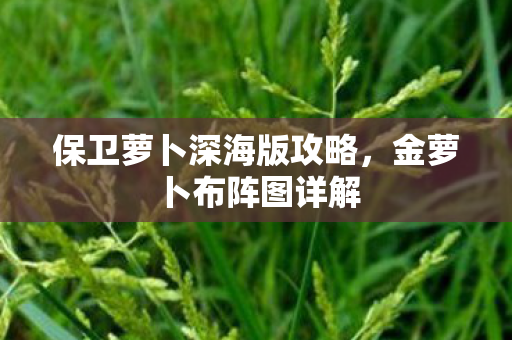 保卫萝卜深海版攻略图片