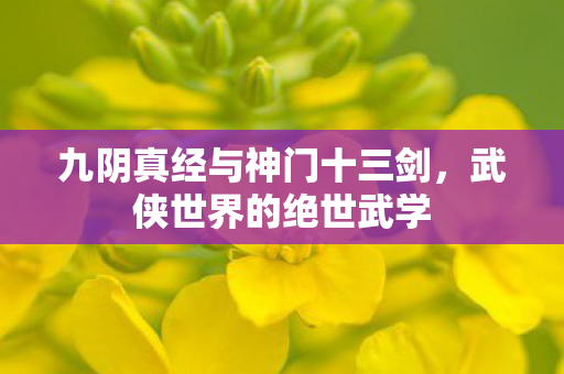 九阴真经与神门十三剑图片