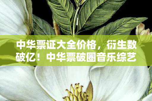 中华票证大全价格，衍生数破亿！中华票破圈音乐综艺，时尚圈上演意想不到的跨界狂欢