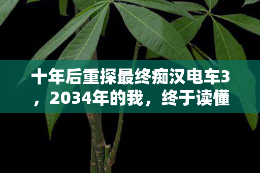 十年后重探最终痴汉电车3,2034年的我,终于读懂了这场疯狂的代价 十年后重探最终痴汉电车3,2034年的我,终于读懂了这场疯狂的代价