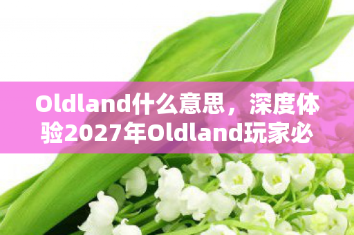 Oldland什么意思，深度体验2027年Oldland玩家必看！99%人不知道的5大生存法则
