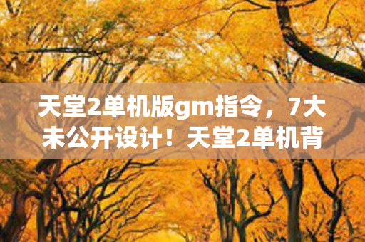 天堂2单机版gm指令，7大未公开设计！天堂2单机背后藏着多少玩家未知的震撼？