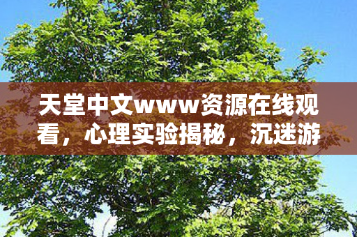 天堂中文www资源在线观看,心理实验揭秘,沉迷游戏六年,细思极恐的自我麻醉之旅 天堂中文www资源在线观看,心理实验揭秘,沉迷游戏六年,细思极恐的自我麻醉之旅
