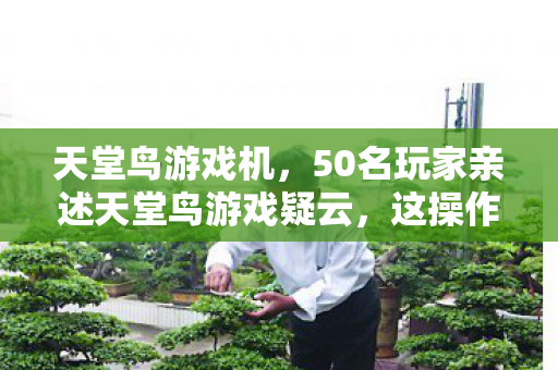 天堂鸟游戏机,50名玩家亲述天堂鸟游戏疑云,这操作是BUG还是官方整活?我当场笑崩! 天堂鸟游戏机,50名玩家亲述天堂鸟游戏疑云,这操作是BUG还是官方整活?我当场笑崩!