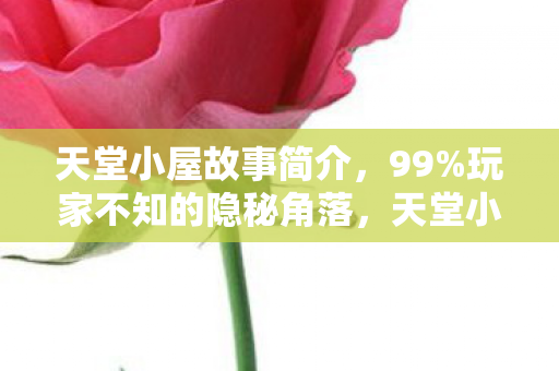 天堂小屋故事简介,99%玩家不知的隐秘角落,天堂小屋藏着多少扎心真相? 天堂小屋故事简介,99%玩家不知的隐秘角落,天堂小屋藏着多少扎心真相?