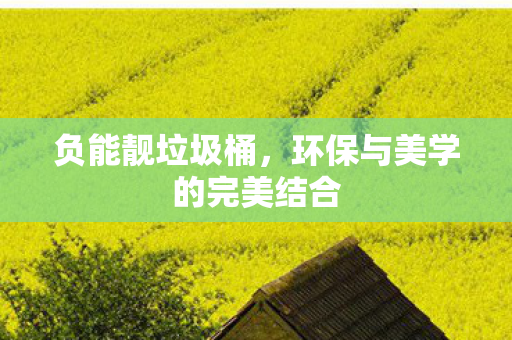 环保与美学的完美结合图片