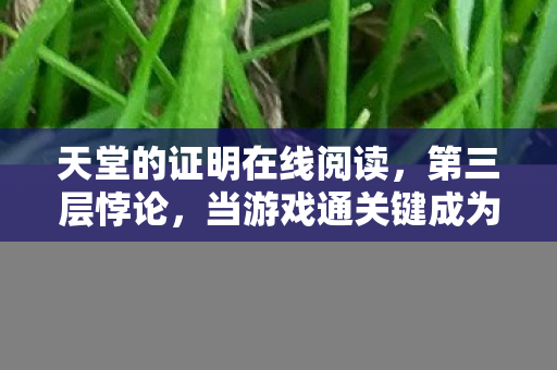 天堂的证明在线阅读,第三层悖论,当游戏通关键成为灵魂的审判之锤 天堂的证明在线阅读,第三层悖论,当游戏通关键成为灵魂的审判之锤