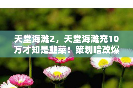 天堂海滩2,天堂海滩充10万才知是韭菜!策划暗改爆率+隐藏保底,玩家集体破防! 天堂海滩2,天堂海滩充10万才知是韭菜!策划暗改爆率+隐藏保底,玩家集体破防!