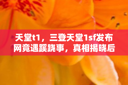 天堂t1,三登天堂1sf发布网竟遇蹊跷事,真相揭晓后背发凉! 天堂t1,三登天堂1sf发布网竟遇蹊跷事,真相揭晓后背发凉!