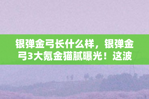 银弹金弓长什么样,银弹金弓3大氪金猫腻曝光!这波操作让我连夜卸载又偷偷下回 银弹金弓长什么样,银弹金弓3大氪金猫腻曝光!这波操作让我连夜卸载又偷偷下回