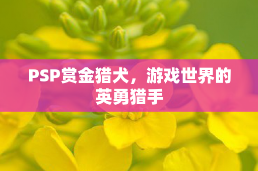 游戏世界的英勇猎手图片