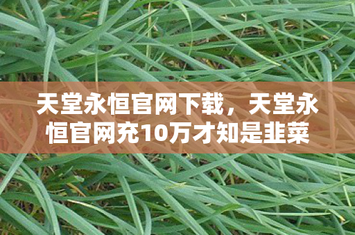 天堂永恒官网下载,天堂永恒官网充10万才知是韭菜!策划暗改爆率+隐藏消费,玩家集体吓尿! 天堂永恒官网下载,天堂永恒官网充10万才知是韭菜!策划暗改爆率+隐藏消费,玩家集体吓尿!