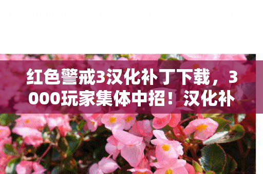 红色警戒3汉化补丁下载,3000玩家集体中招!汉化补丁暗藏时间循环?网吧老炮,我绷不住了 红色警戒3汉化补丁下载,3000玩家集体中招!汉化补丁暗藏时间循环?网吧老炮,我绷不住了