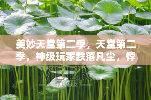 美妙天堂第二季,天堂第二季,神级玩家跌落凡尘,悖论抉择震颤灵魂深渊 美妙天堂第二季,天堂第二季,神级玩家跌落凡尘,悖论抉择震颤灵魂深渊